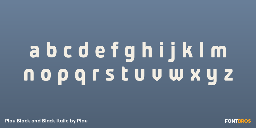 Plau Black and Black Italic Font Poster #3