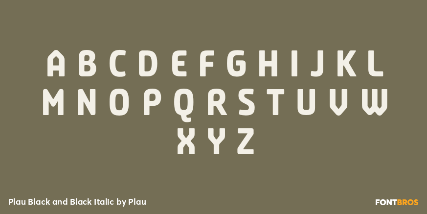 Plau Black and Black Italic Font Poster #1