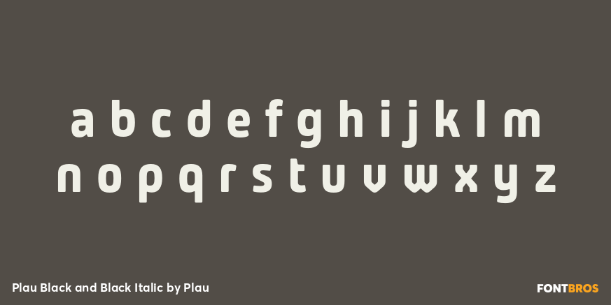 Plau Black and Black Italic Font Poster #1