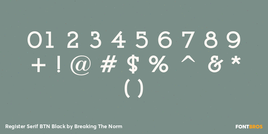 Register Serif BTN Black Font Poster #1