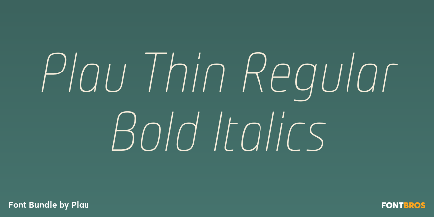 Plau Thin Regular Bold Italics Poster