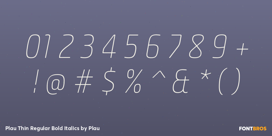 Plau Thin Regular Bold Italics Font Poster #1