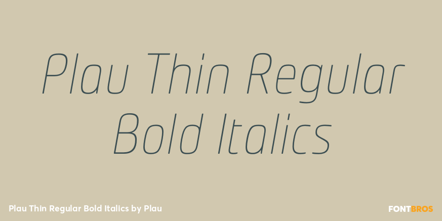 Plau Thin Regular Bold Italics Poster