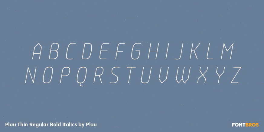 Plau Thin Regular Bold Italics Font Poster #2