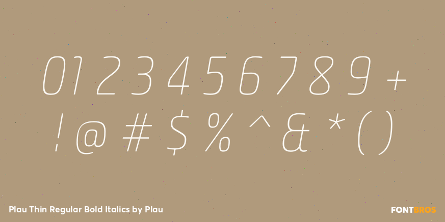 Plau Thin Regular Bold Italics Font Poster #4