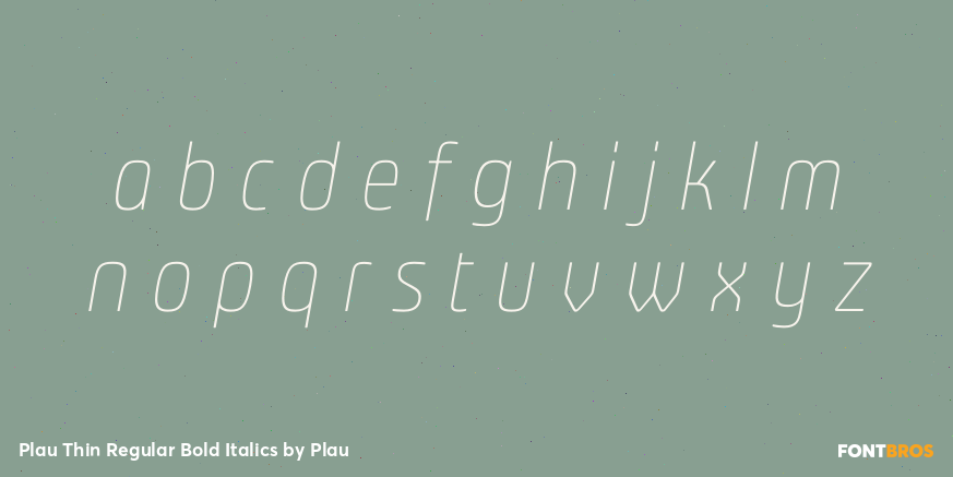 Plau Thin Regular Bold Italics Font Poster #1