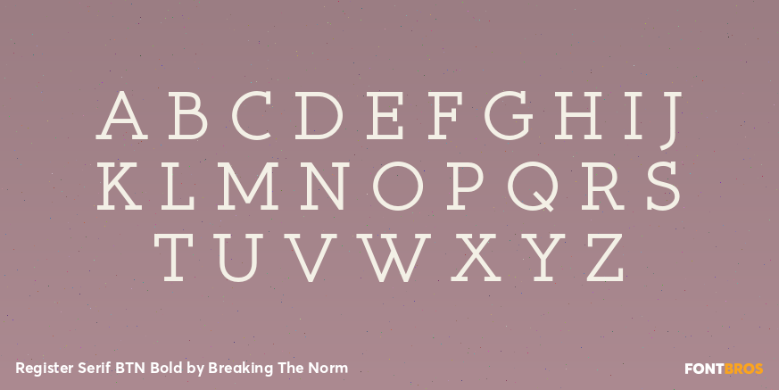 Register Serif BTN Bold Font Poster #2