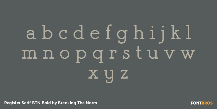 Register Serif BTN Bold Font Poster #3