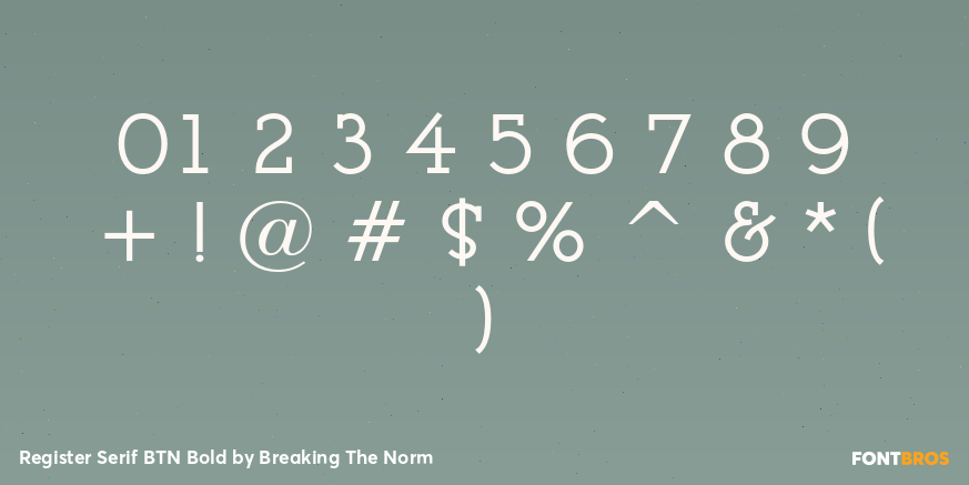 Register Serif BTN Bold Font Poster #4