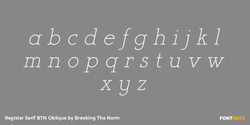 Register Serif BTN Oblique Font Poster #3