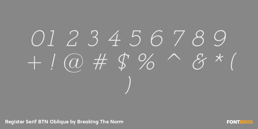 Register Serif BTN Oblique Font Poster #4