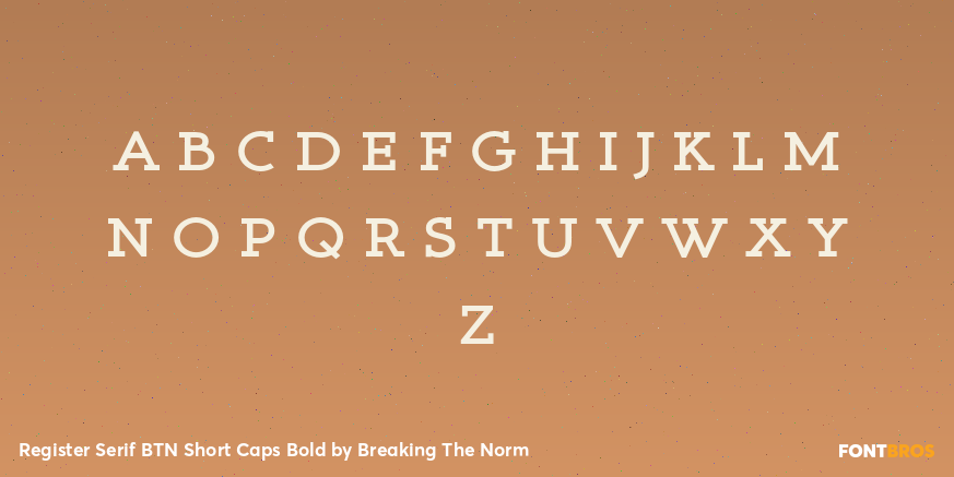 Register Serif BTN Short Caps Bold Font Poster #3