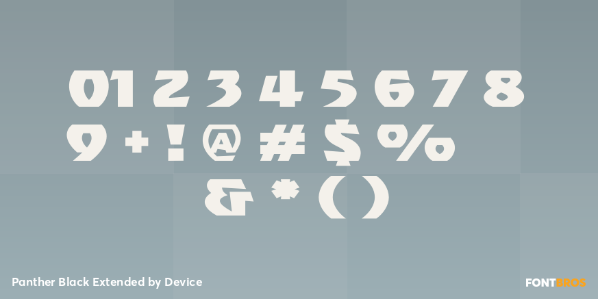 Panther Black Extended Font Poster #4