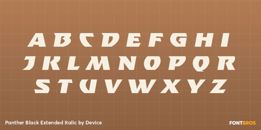 Panther Black Extended Italic Font Poster #3