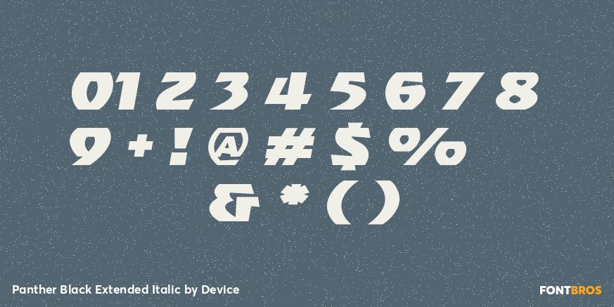 Panther Black Extended Italic Font Poster #4