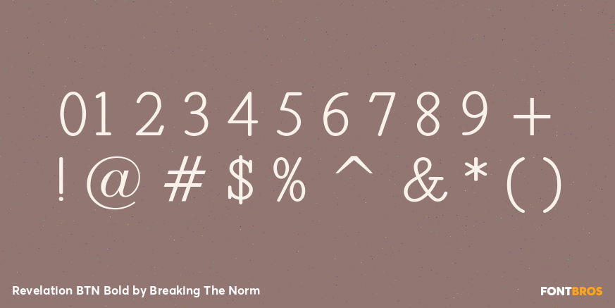 Revelation BTN Bold Font Poster #4