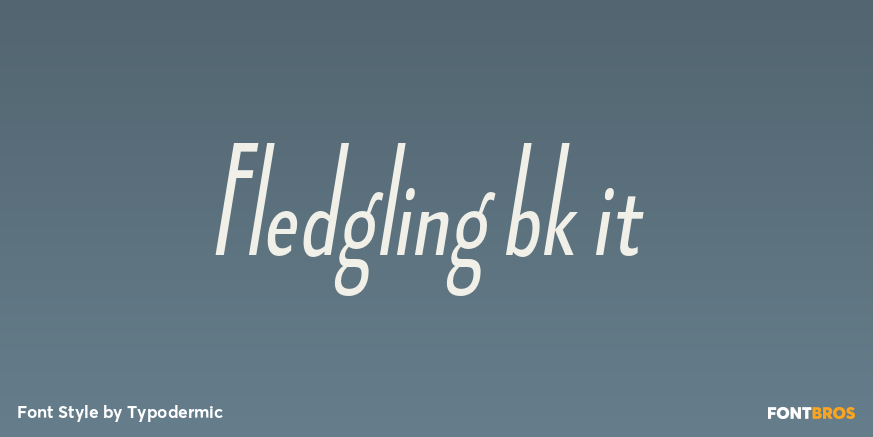 Fledgling bk it Font Poster #1