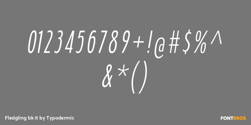 Fledgling bk it Font Poster #1