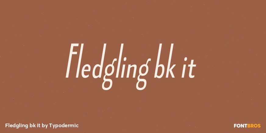 Fledgling bk it Font Poster #1