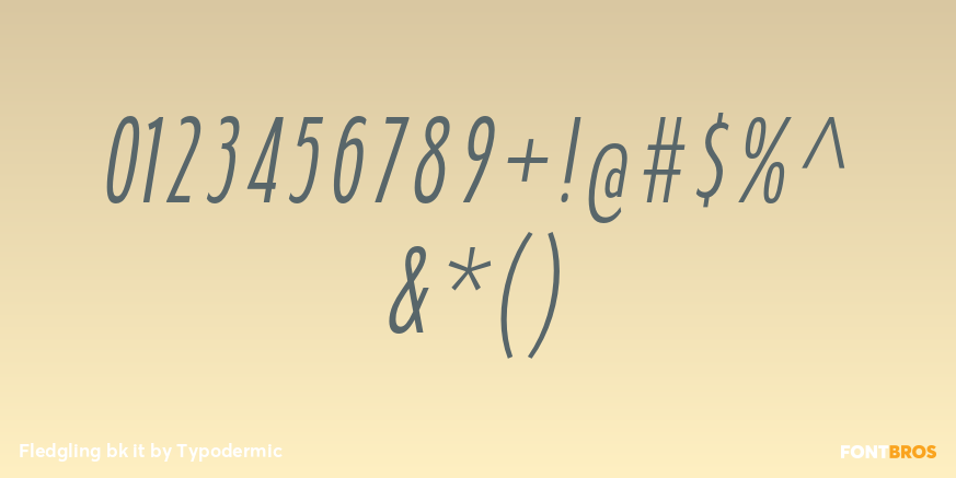 Fledgling bk it Font Poster #4