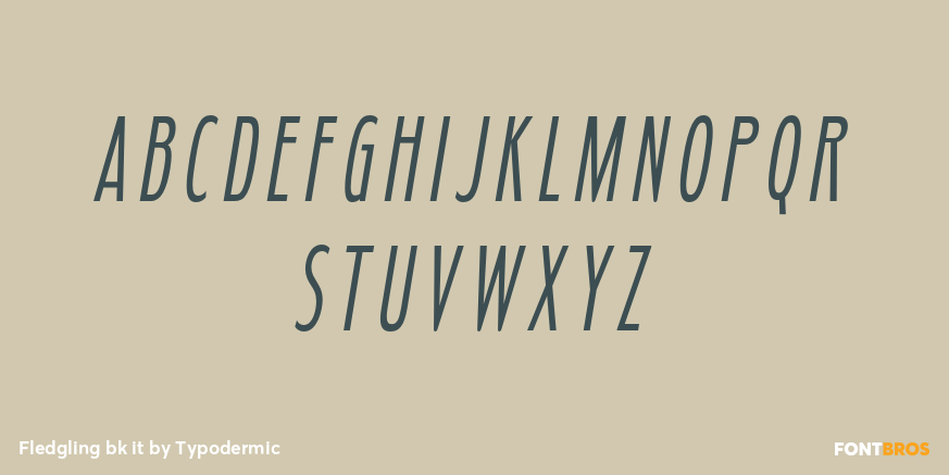 Fledgling bk it Font Poster #1