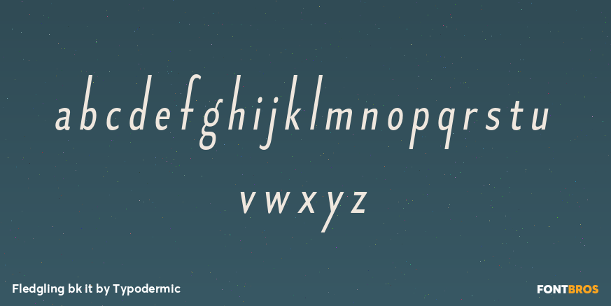 Fledgling bk it Font Poster #1