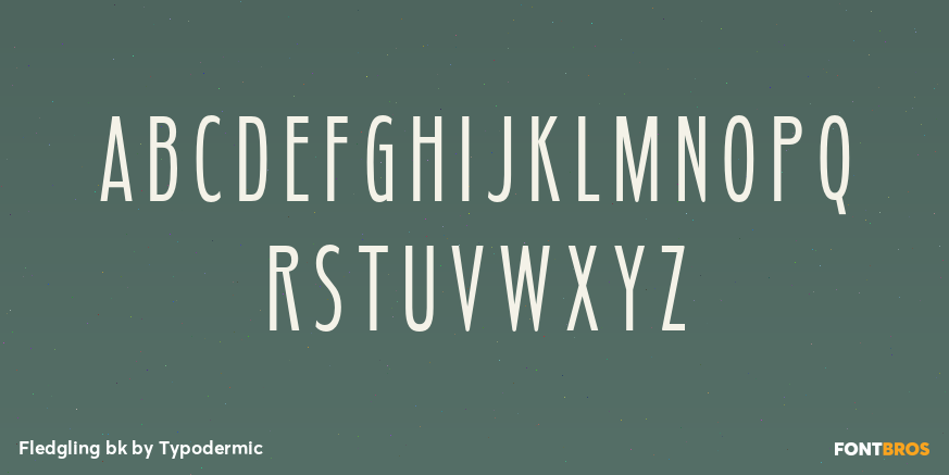 Fledgling bk Font Poster #2