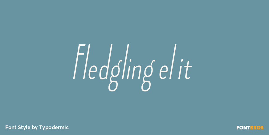 Fledgling el it Font Poster #1