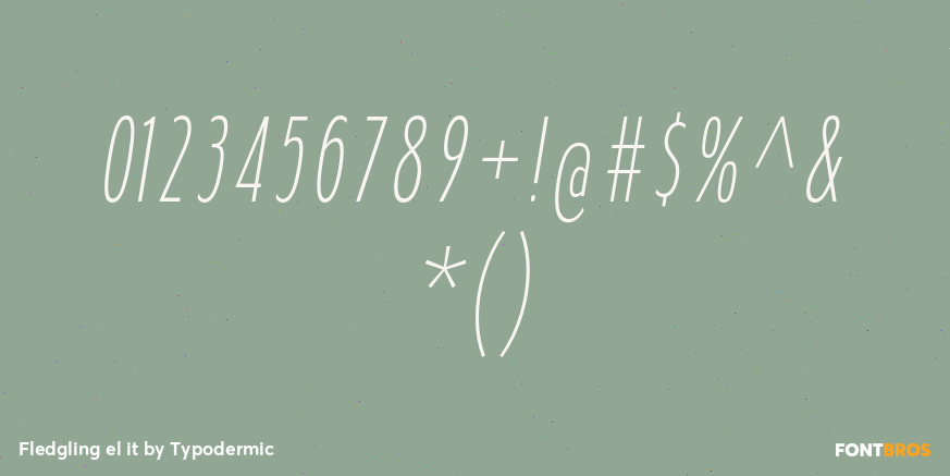 Fledgling el it Font Poster #1