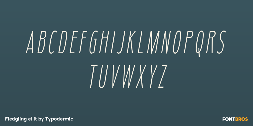 Fledgling el it Font Poster #1