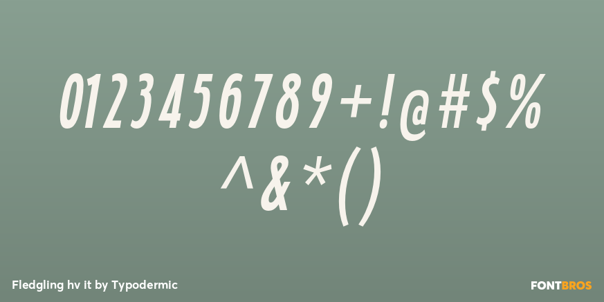 Fledgling hv it Font Poster #1