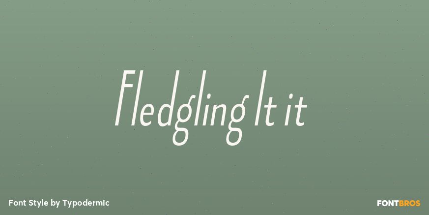 Fledgling lt it Font Poster #1