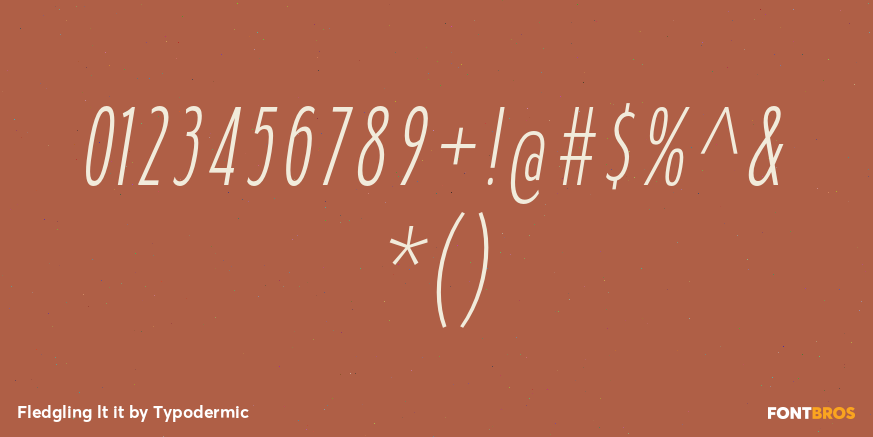 Fledgling lt it Font Poster #4