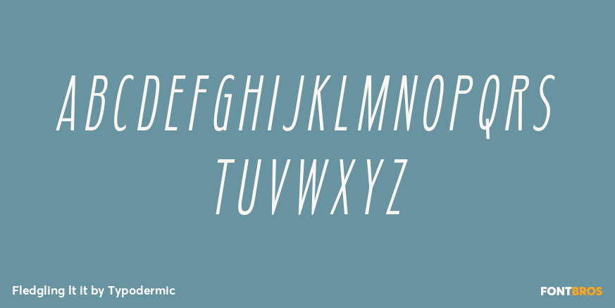 Fledgling lt it Font Poster #1