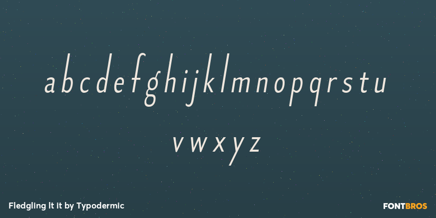 Fledgling lt it Font Poster #1