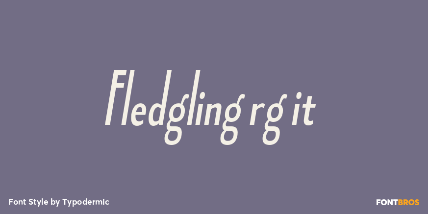 Fledgling rg it Font Poster #1