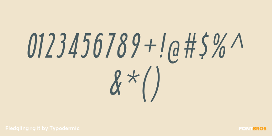 Fledgling rg it Font Poster #1