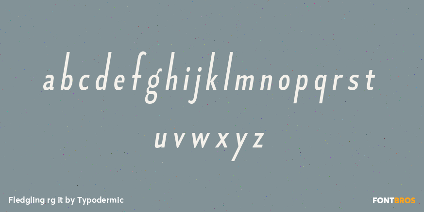 Fledgling rg it Font Poster #3