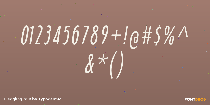 Fledgling rg it Font Poster #4