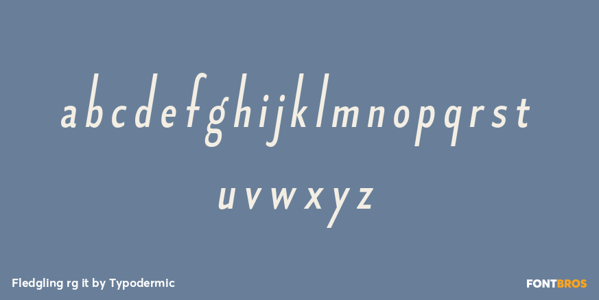 Fledgling rg it Font Poster #1