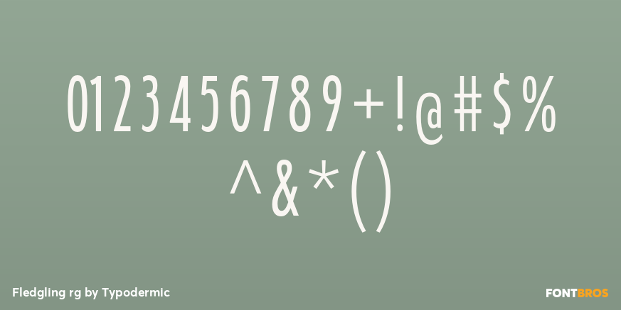 Fledgling rg Font Poster #4