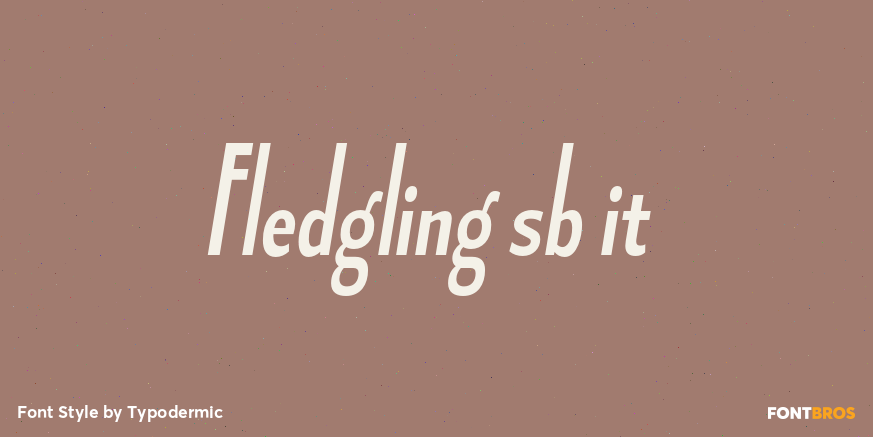 Fledgling sb it Font Poster #1