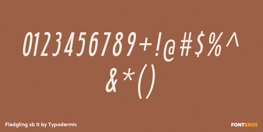 Fledgling sb it Font Poster #1