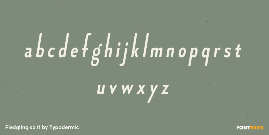 Fledgling sb it Font Poster #3