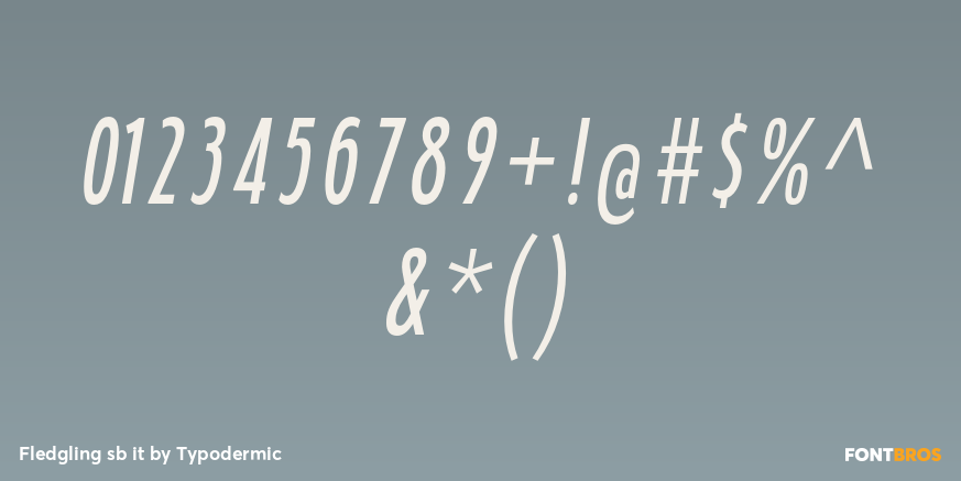 Fledgling sb it Font Poster #4