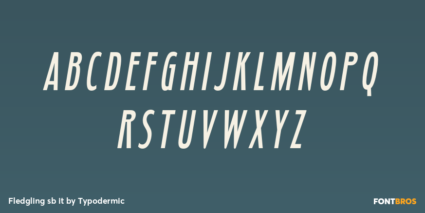 Fledgling sb it Font Poster #1