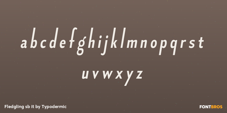 Fledgling sb it Font Poster #1