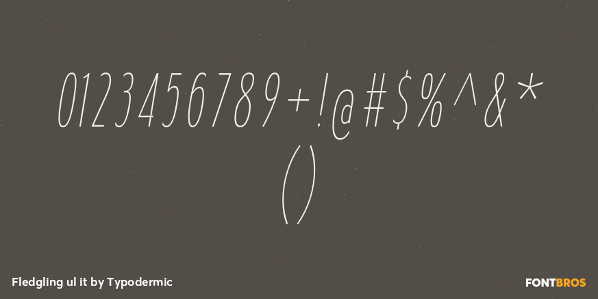 Fledgling ul it Font Poster #1