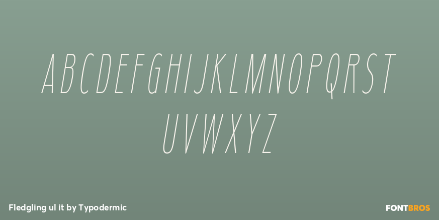 Fledgling ul it Font Poster #2