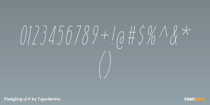 Fledgling ul it Font Poster #4